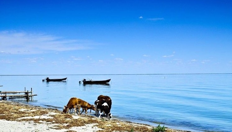 呼倫貝爾自然景觀