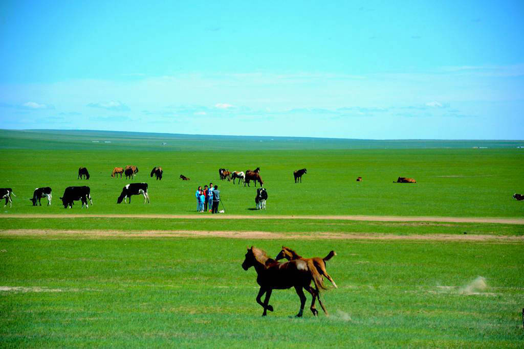 去呼倫貝爾大草原什么季節(jié)好