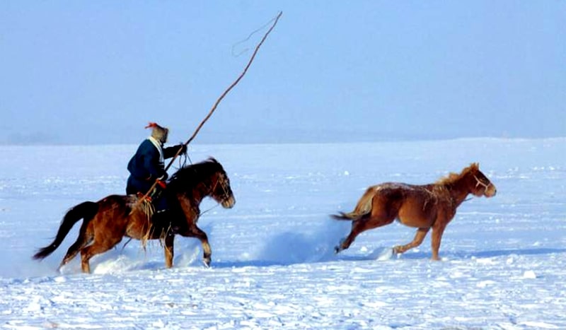 冬季的呼倫貝爾