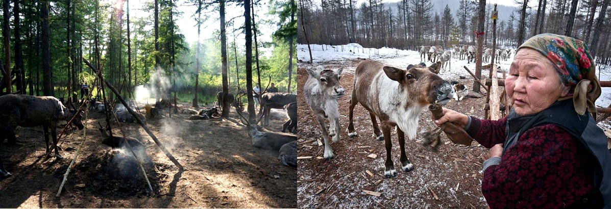 馴鹿之鄉(xiāng)