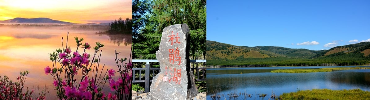 阿爾山國(guó)家森林公園