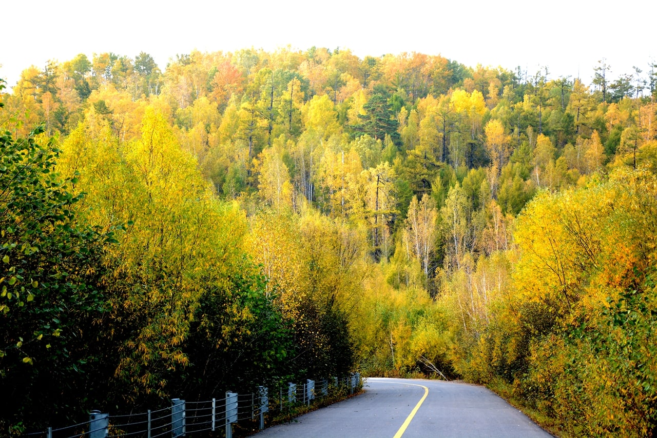 莫爾道嘎森林公園
