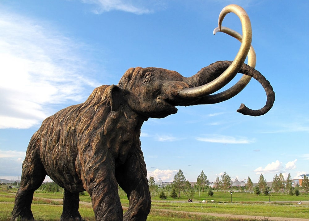 扎來(lái)諾爾猛犸象的故鄉(xiāng)